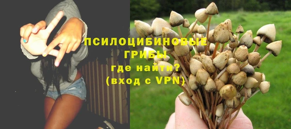 стаф Каменка