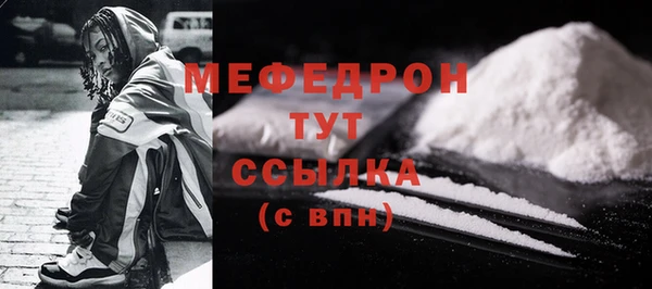 стаф Каменка