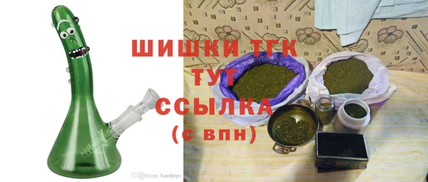 стаф Каменка