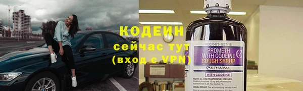 стаф Каменка