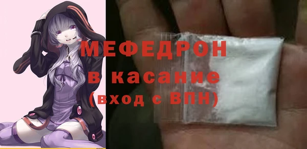 стаф Каменка