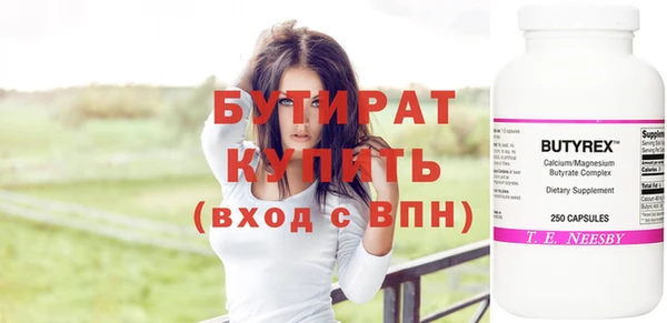 стаф Каменка