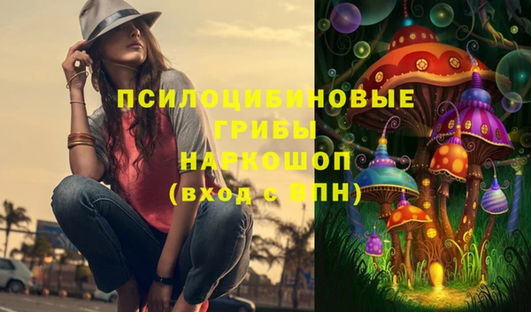 МДПВ Касимов