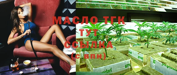 стаф Каменка